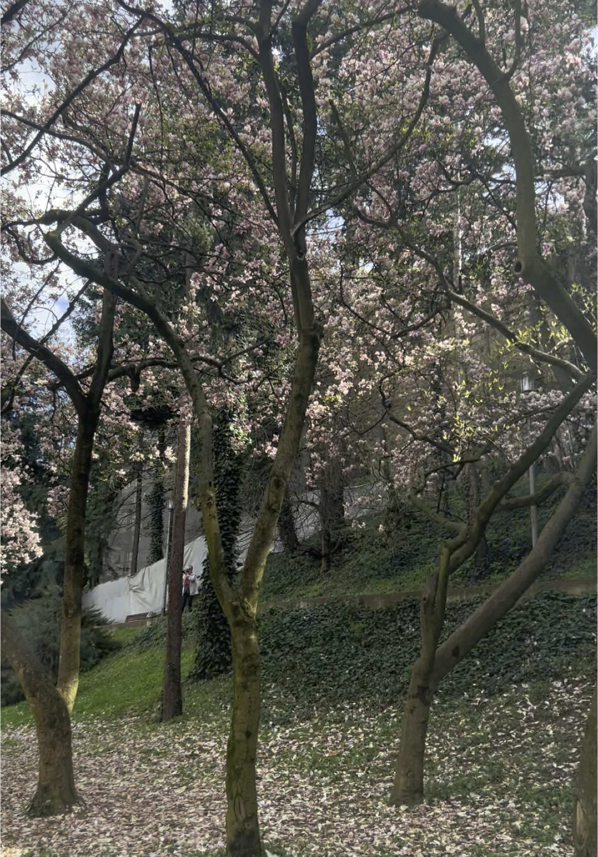 #zagreb #croatia #Home 