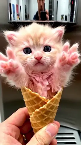 Gimana hari senin ini? Manisss kaaann 😉🥰 #teknologiAI #es krim yang ada corongnya #kucingoren #justkontenツ #viralfypシ