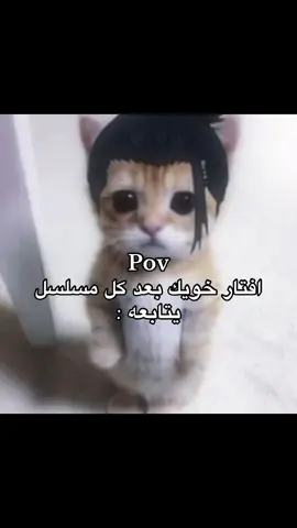 #سعودز🇸🇦 