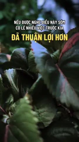 🪷☘️Câu trả lời thật ý nghĩa #ngộ_để_an #phatphapnhiemmau #trending #cliptrieuview #xuhuongtiktok 