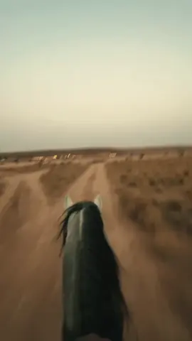 #fyp #خيل_وخياله🐎 🩶