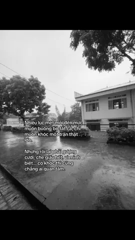 Gượng cười! #fyp 