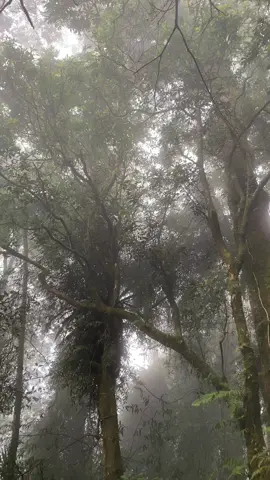 Sepi. #gunungkarangpandeglang #gunungkarang #gunungkarangviakaduengang #atapbanten #pendakipemula @@gunungkarang_via.kaduengang) 