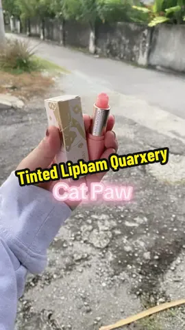 Lipbam bibir terasa licin & ringan #tintedlipbam #quarxery #quarxerymalaysia #fy 