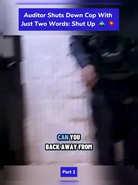 #cops #copsoftiktok #fyp #audit #auditzone