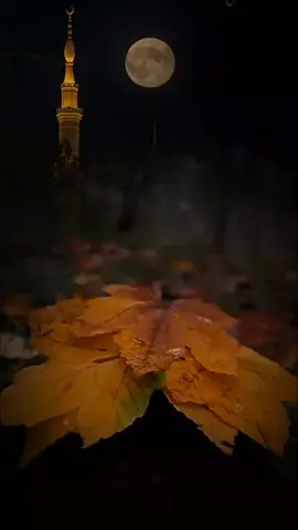 سوره الحجر🤍#قران_كريم #سعود_الفايز #اكتب_شي_توجر_عليه #foreyoupage #fup 