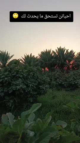 احيانن تستحق ما يحدث لك  🙄#❤❤❤❤❤❤❤❤❤❤❤❤❤❤❤❤ #❤❤❤❤❤❤❤❤❤❤❤❤ #❤❤❤❤❤❤❤❤ 