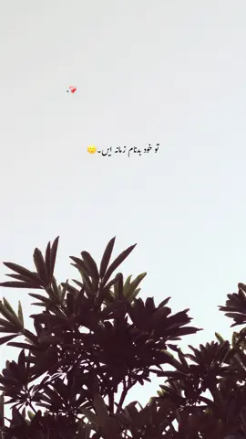 اودے ورگی آکھ ہی نہیں لنبڑی توں پورے یار دی گل کردا۔🥹❤️‍🩹🌸🪶 #foryou #foryourpages #poetry #aesthatic #poetrystatus  