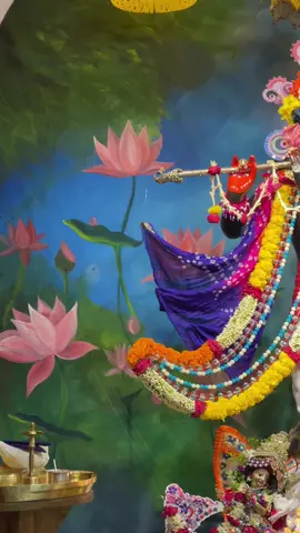 #harekrishna #harekrishna #plzviral🥺🥺🙏🙏foryoupage #vairal #video 