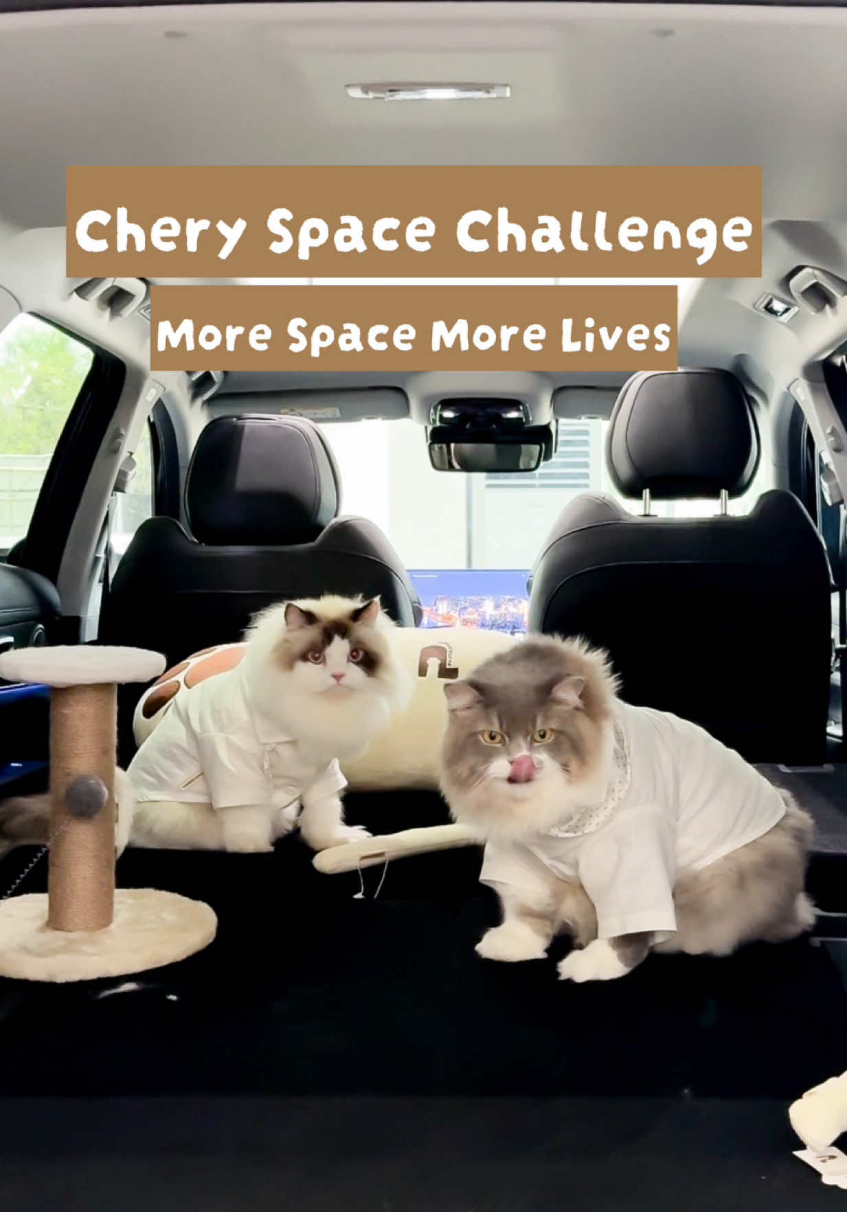 Mobil andalan luas banget cocok utk bawa bison bison jalan jalan #cheryspace @Chery Motor Indonesia 