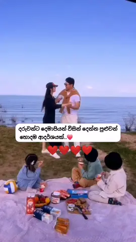 දරුවන්ට දෙමාපියන් විසින් දෙන්න පුළුවන් හොදම ආදර්ශයක්.. දෙමාපියන්ගෙ රන්ඩු සරුවල් මැද හැදෙන දරුවන්ට වඩා ආදරය සෙනෙහස ක්‍රියාවෙන් පෙන්නුම් කරන තැන හැදෙන දරුවන් මේ ලෝකෙට උතුම් මනුස්සත්වයෙන් ගොඩක් ඉහළයි..❤️🌍 #reelschallenge #fypシ゚viralシfypシ゚ #fypシ゚viralシ #reelsbシ #fypaeシ 