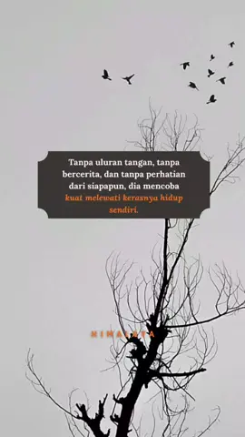 #sepucukkata #himalaya #xybca 