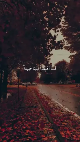 #kurdishquran #islam #quran #تلاوة #foryoupage 