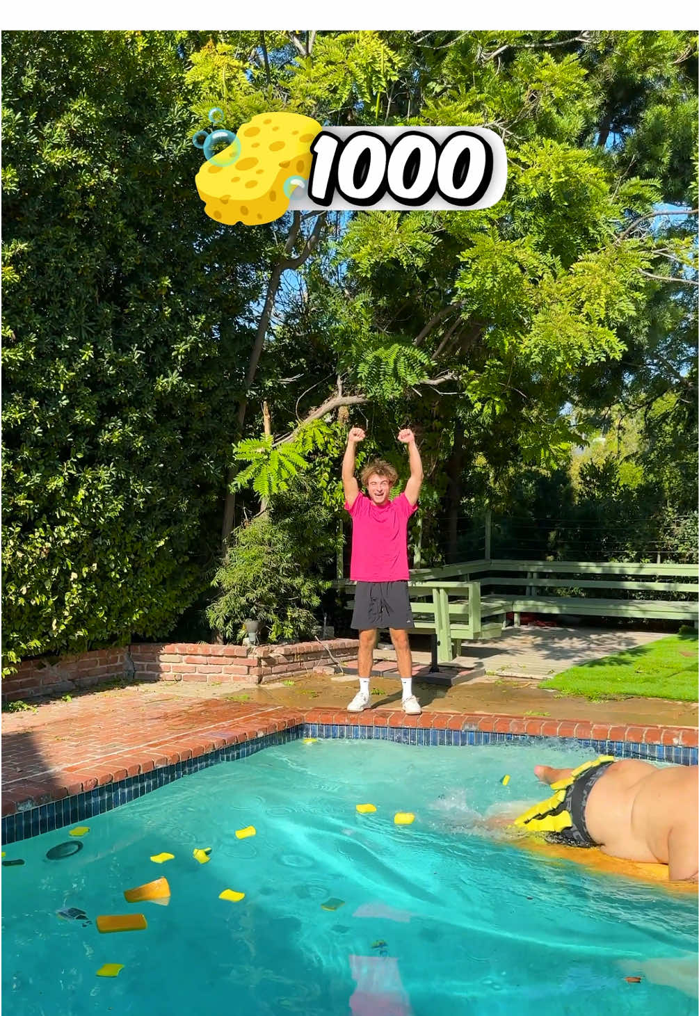 How Many Sponges Will Hold a Sumo Wrestler?
