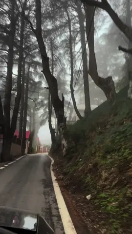 #شريعة #algiria🇩🇿 