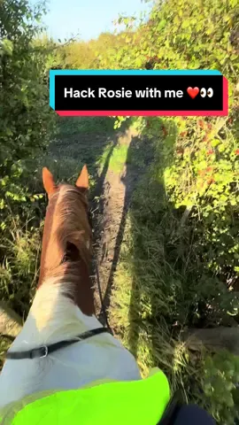 Hacks like this 😍  Love taking my girls out together! It’s so important we stay seen and as safe as possible whilst out on the roads, which is why Rosie and I wear our @Naylors 👀  I like to double up on hi-vis, especially on days like this where the sun is so low and bright! It can be blinding for drivers so it’s essential to be standing out from the road so that they have time to see us and react ☀️ #ad #foryou #horse 