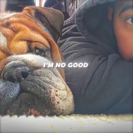 Rip Roscoe💔#roscoeforever #f1 #formula1 #lewishamilton #fyp 