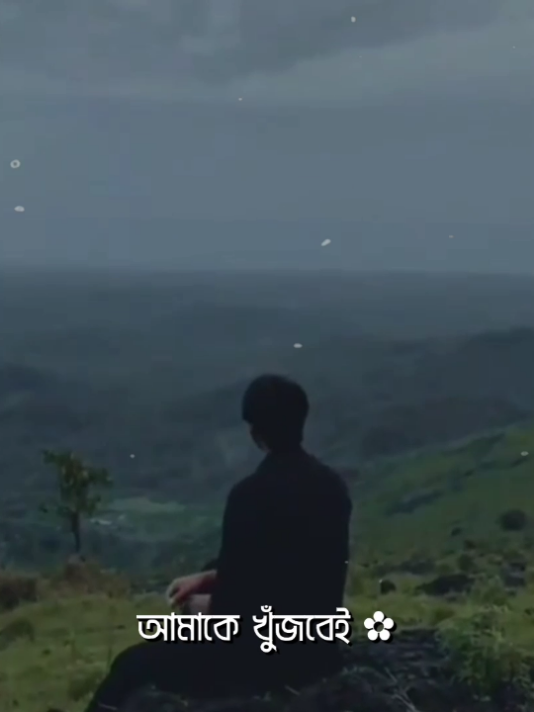 - অস্তিত্ব হীন ভালোবাসা 😫❤️‍🩹 #lyrics #lyricsjitu99 #foryou #viral #asthetic @TikTok Bangladesh @TikTok 