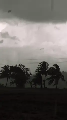 Peace 🖤🍃 #travel #travelerseye #welcomehome #billieeilish #foryoupagee #for #fyp #fo #traveltiktok #fyp #travelvideo #darkvideo 