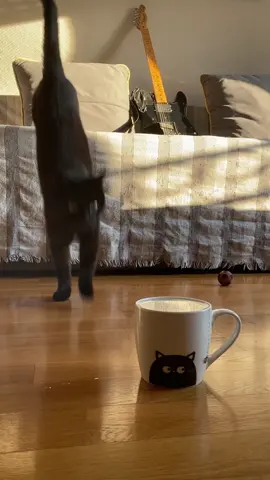 Wishing you a wonderful week, and don’t forget your water dance rituals! 🕺🏻#cat