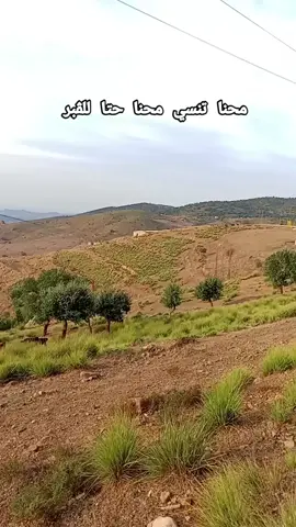 شيخ لمين لبراح محنا تنسي محنا وحتا للقبرااا#tiktokindia #الجزائر #تحيا_الجزائر #لمشاهدين_والمتابعين #👑ولد_الدوار👑 #الشعب_الصيني_ماله_حل😂😂 #عب_الصيني_ماله_حل😂😂 #tiktok #skincare #دير_جام_في_خاطر_هاذ_الفيديو❤✨ #فيهذااليوم #مشاهدات_تيك_توك #tikt #هاشتاقات_تيك_توك_العرب #tiktoktips #viraltiktok #PaidPartnership 
