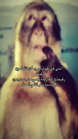 امممممممبييه هههههههههههههههههههههههههههههه
