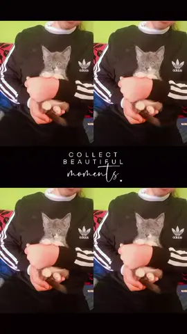 mi miau hermosa 💖 