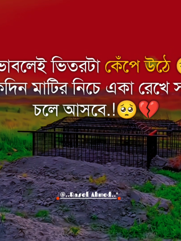 ভাবলেই ভিতরটা কেঁপে উঠে 😔 একদিন মাটির নিচে একা রেখে সবাই চলে আসবে.!🥺💔 #DeathReminder #IslamicReminder #GraveReality #Akherat #আল্লাহরভয় 