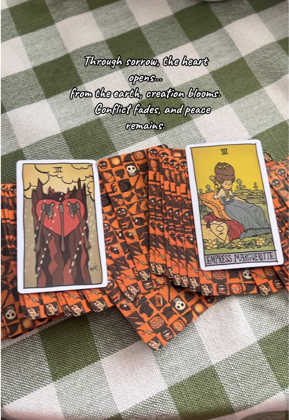 ✨ Three of Swords, Empress, and the  Five of Wands (reversed). The story feels clear: acknowledge the pain, but don’t stay there. Step back into creativity, softness, and self-nourishment. Choose peace over conflict, and growth over struggle. 🌿 Also, I only do readings for myself.  #tarot #softmagic #cozycottagecore #HealingJourney