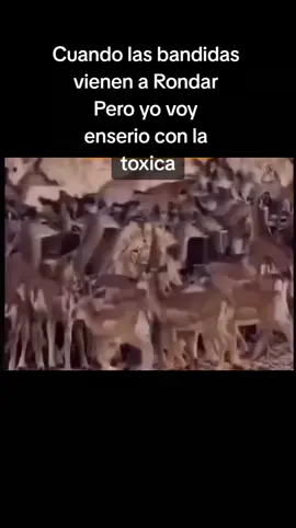 #humor #risas😂😂😂  #parati