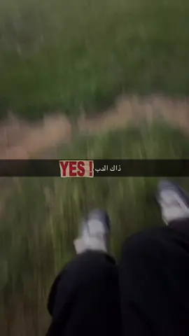 #ppp