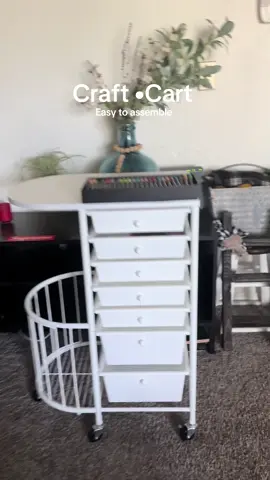 @HSN, Inc So many compartments +Sturdy 📝 the Girls love their new Craft cart. ‼️Deals‼️#Craftcart#crafting#hsn#shopHsn#tiktokshopblackfriday 