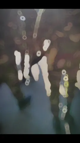 সদা সর্বদা আপনাদের জন্যই নিয়োজিত🥰 তারপরেও একদল মানুষ এসে প্রপাগন্ডা ছড়াবে 🥲 একটা কথা মনে রাখবেন আমরা পরিবার ছাড়া, 😋 আমরা পরিবারের কাছে আত্নিয়র মতো 🥲 আমরা আপনাদের ভাই 🥰 দয়াকরে কেউ বাজে মন্তব্য করবেন না 🥰🥰 ধন্যবাদ  #foryoupageofficiall #bangladesharmy🇧🇩🇧🇩🇧🇩 #fyyyyypppppp #part59 