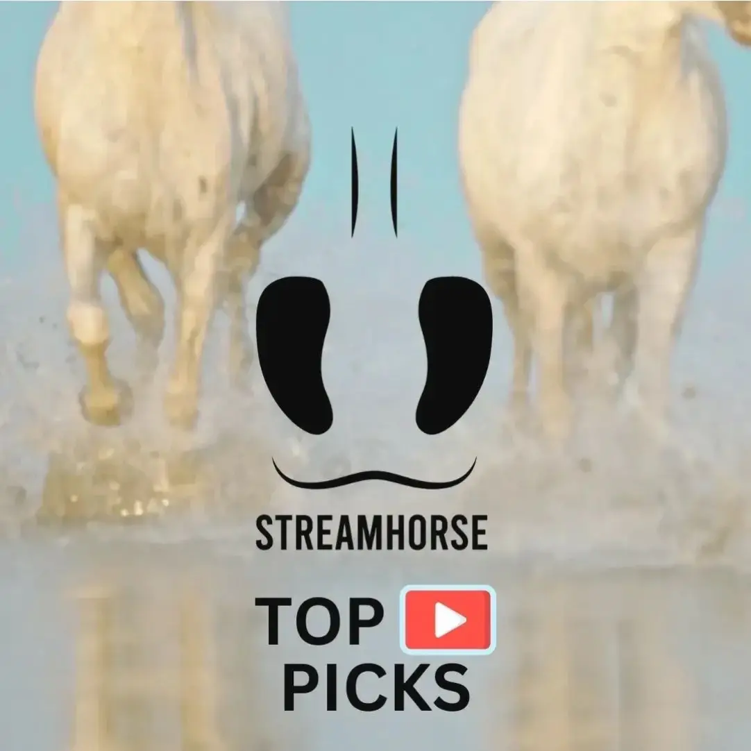 Top 10 StreamHorse World YouTuber Picks Week of 9/29/25 🐴🌎🎥 Spotlighting the best YouTube content for people who love horses! Make sure to check out and subscribe to these amazing creators' YouTube Channels! Watch here 👇  https://streamhorse.tv/stories/f/top-10-streamhorse-world-youtuber-picks-week-of-92925 #horses #YouTube #content #creators #horselover 