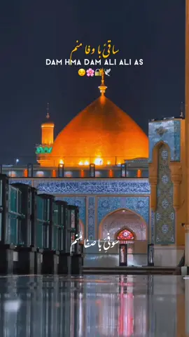 Dam Hma DaM Ali Ali🫀🙌🏻 . . . . . . . #aliunwaliullah  #aliwaly  #yaali  #foruyou  #unfreezemyacount 