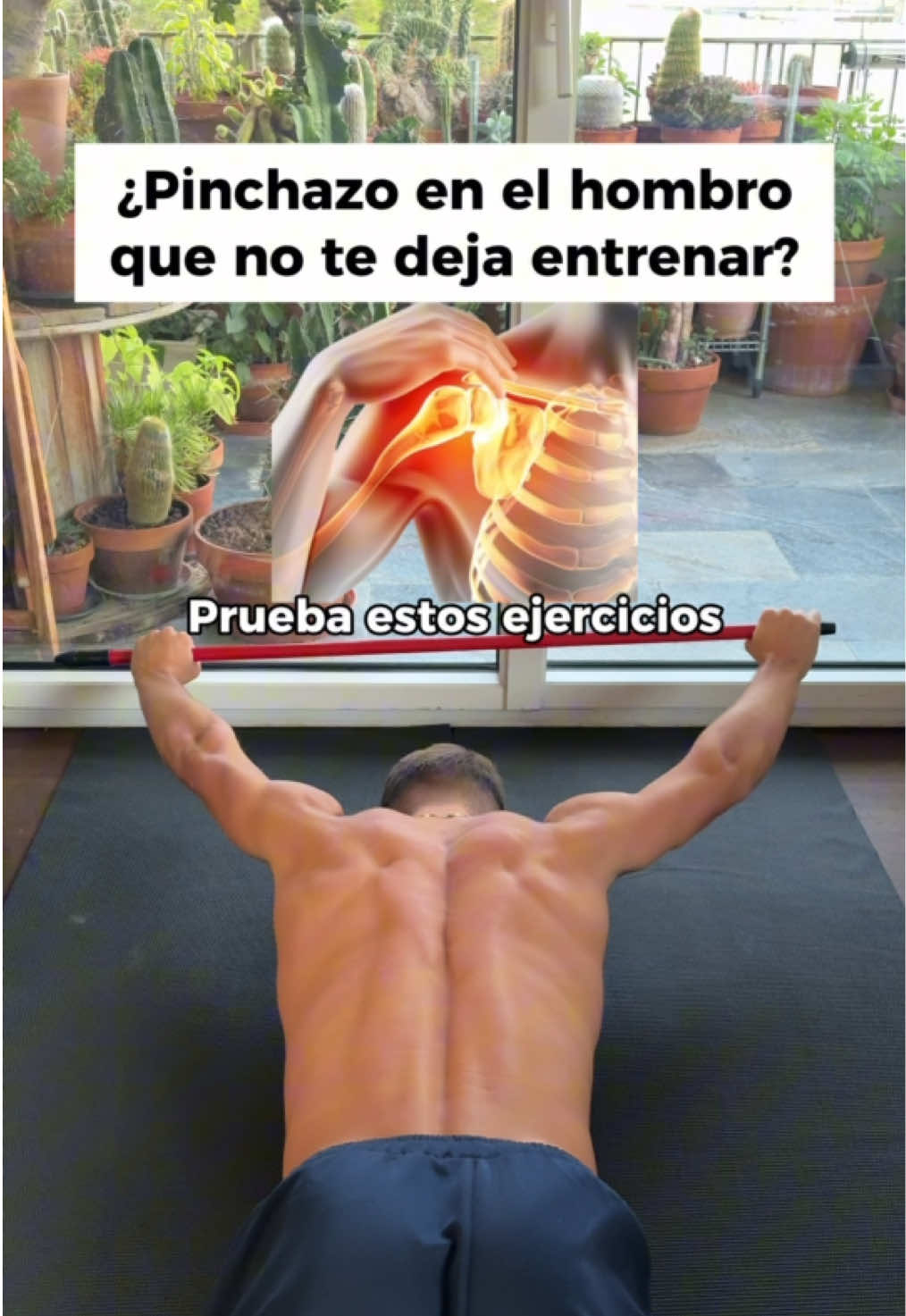 Quieres la rutina? Ves a mi descripción, sígueme por instagram y escribeme “hombro” por IG