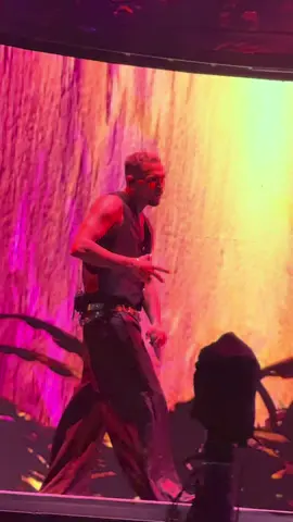 #chrisbrown #chrisbrownofficial #fyp #breezybowl #chrisbrownconcert 