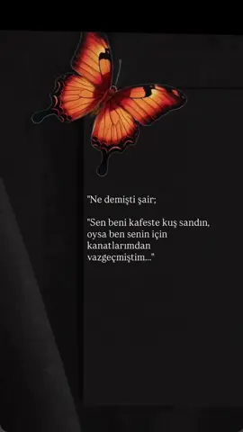 #keşfetteyizzzzzzzzzz 