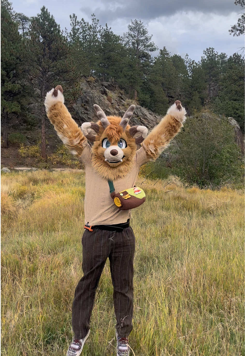 I love living in Colorado sm 🔥 #furry #fursuit #furrytiktok #furries #furryfandom #fyp #furrycommunity #fursuiter #mountains