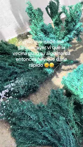 Tamo’ tarde😩🤣 #parati #navidad🎊