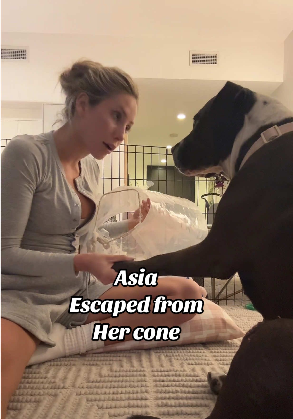 The way she wouldn’t get up 