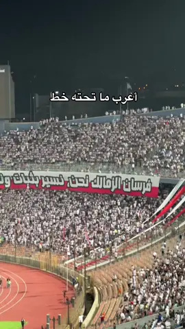 #foryou #الاهلي_فوق_الجميع #الاهلي 