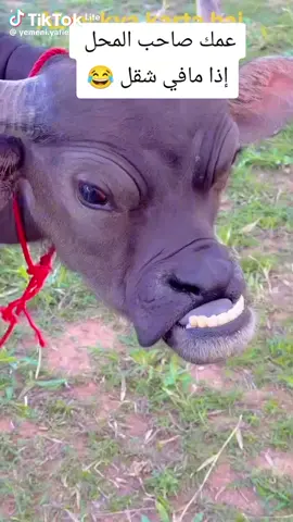 هههههههههههه هههههههههههه هههههههههههه هههههههههههه #متابعه_ولايك_واكسبلور_احبكم