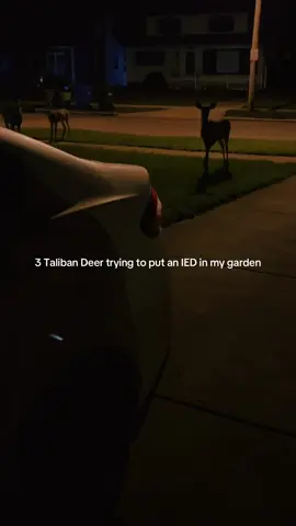 Saw these three mooj deer pop up on the BFT trying to get to my garden smh 🤣 DO NOT INTERFERE WITH THE WILDLIFE #wildlife #deer #veteran #relateable #gardening 