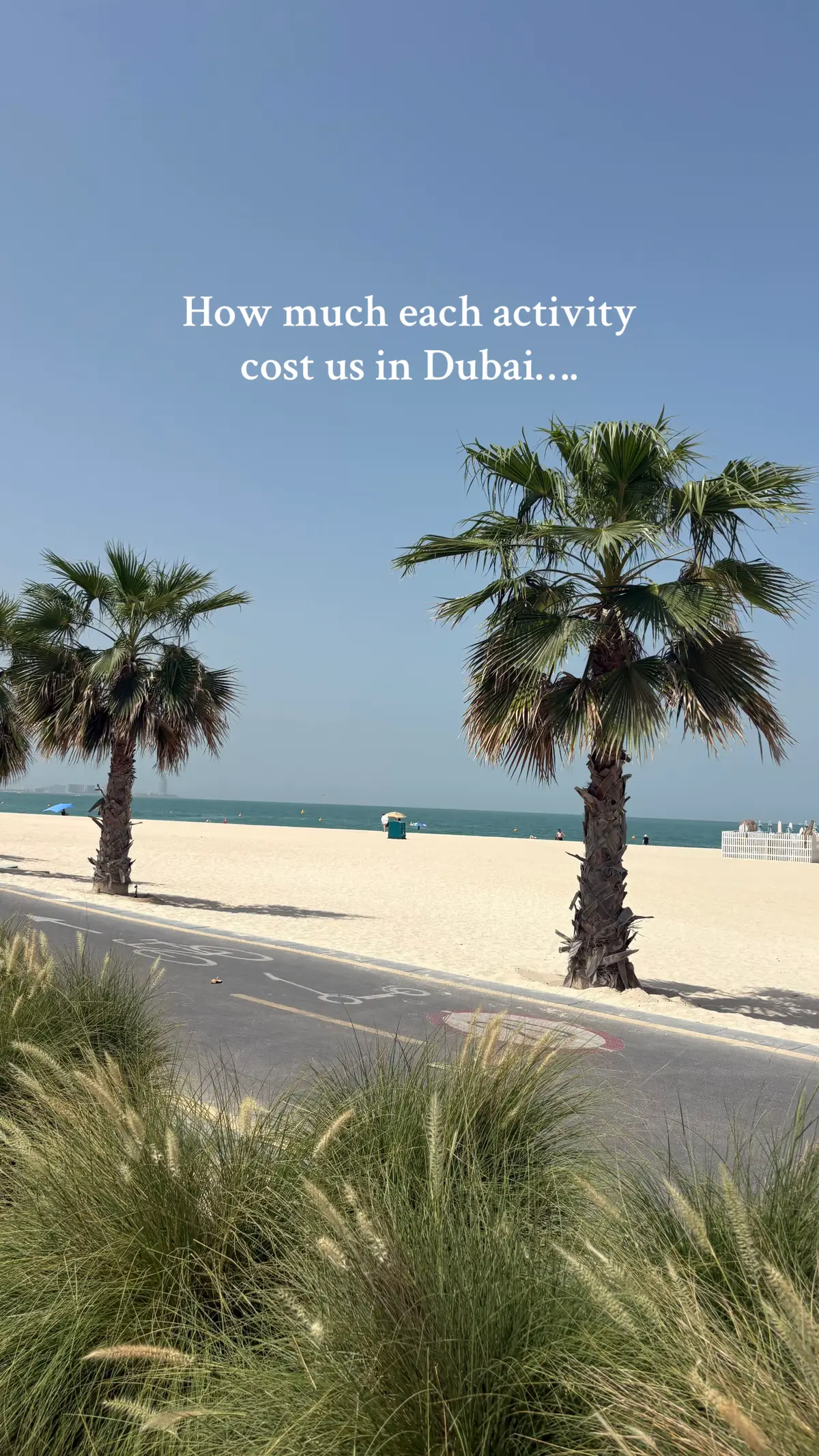 #dubai #howmuchwespent #thingstodoindubai 