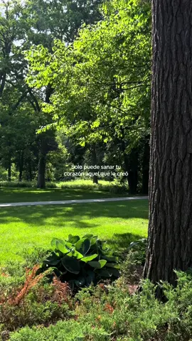 #fyp #jovenescristianos #foryoupage #viral #paratii 