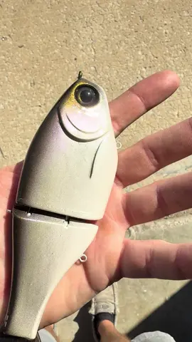 I’m loving the subtlety’s of this Baby Boss 😍😍😍 P.S. - Sign up for the email blast (on the home page of the website) to be notified when baits become available (drop). #clutchswimbaitco #bassfishing #swimbaits #swimbaitunderground #swimbaituniverse   