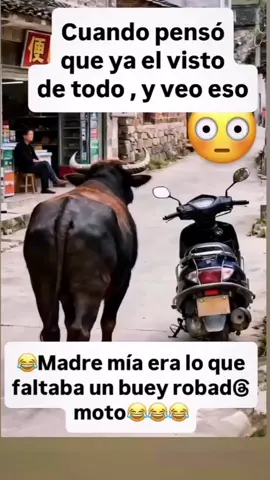 #elwasa 