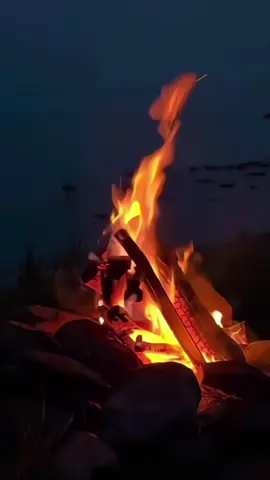 #صباحي_قهوتي ##ديتو_ابراهيم #اترك_لنا_شي_جميل #انتيكا #اخر_شي_نسختو 