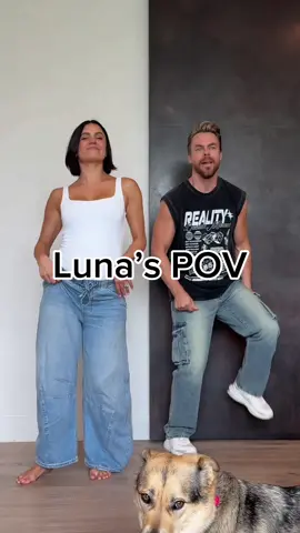 Luna’s  🐕 POV …do you spot the other doggo  @Hayley Erbert Hough 